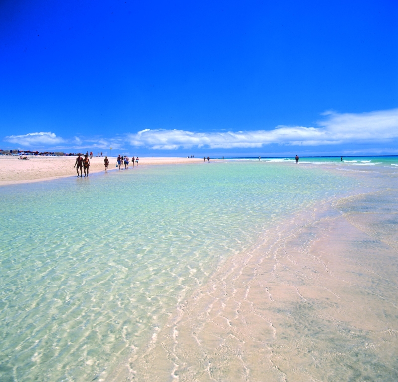 Fuerteventura con singles