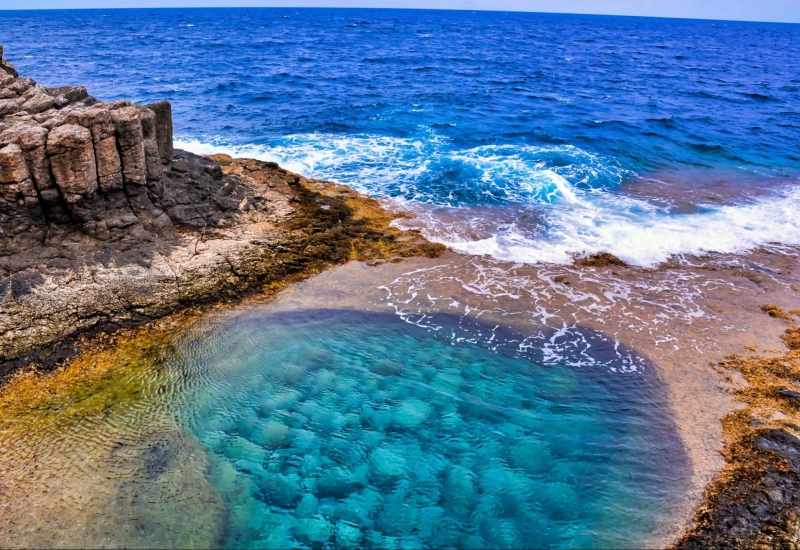 Fuerteventura Fest