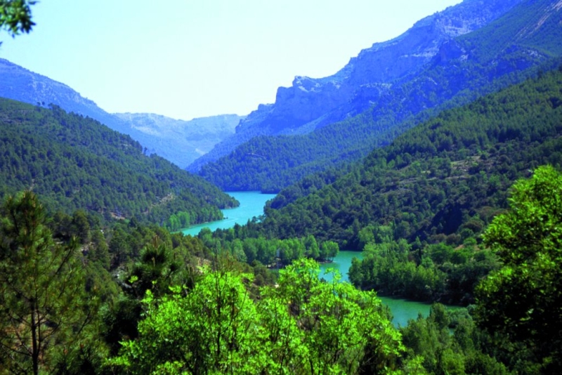 La Berrea en Sierras de Cazorla