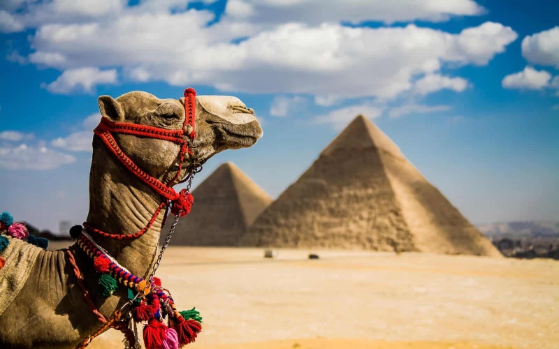 Mejor Época Para Viajar Egipto 2025