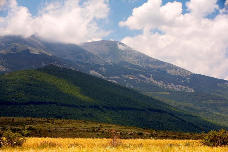 Parque Natural del Moncayo