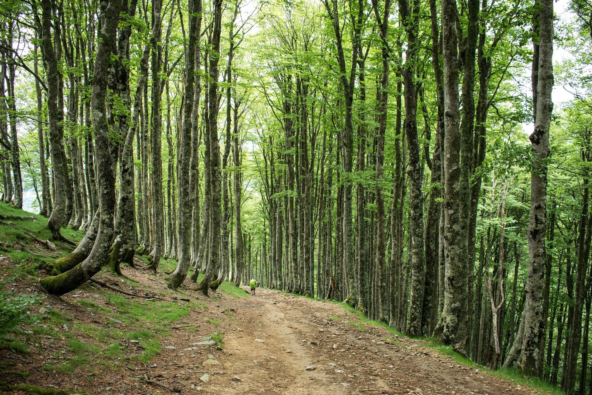 Día 2. Sarria / Puertomarín