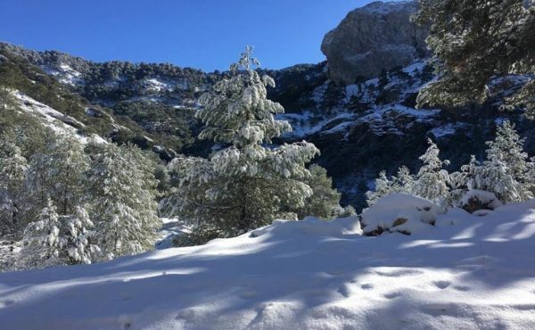nieve-cazorla-830x623