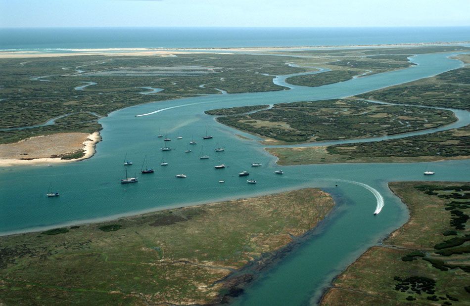 Día 5 · Parque Natural de Ria Formosa (Algarve)