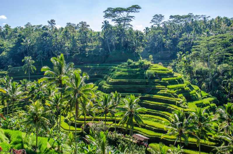Día 2 · LLEGADA A DENPASAR · TRASLADO A UBUD