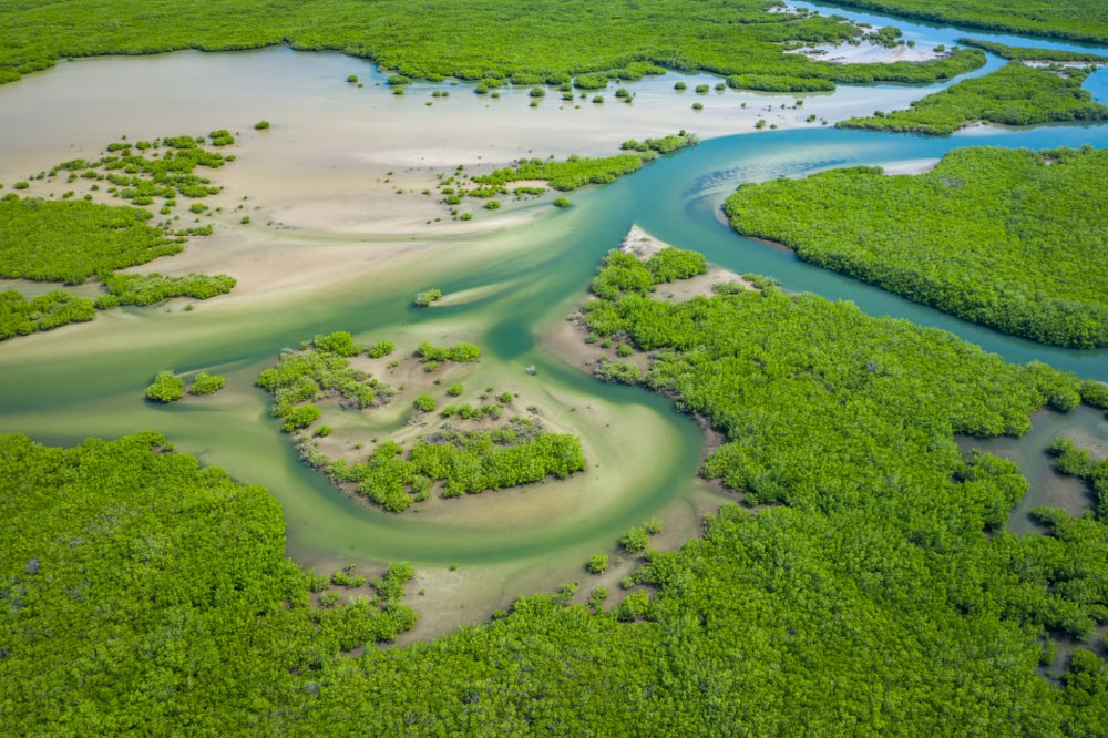 Día 5 · SAINT LOUIS · PARQUE NACIONAL DEL DELTA DEL SINE-SALOUM · TOUBAKOUTA