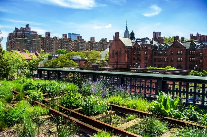 Día 3 · Tour bajo Manhattan / Greenwich Village y High Line